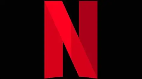 Netflix 1 Year Account